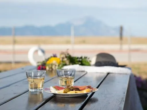 Malama Rooms Sykia Chalkidikis Apartment